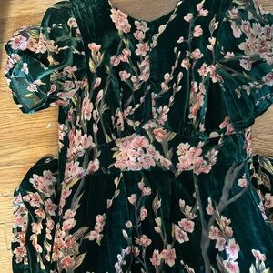 ModCloth Floral Velvet Dress